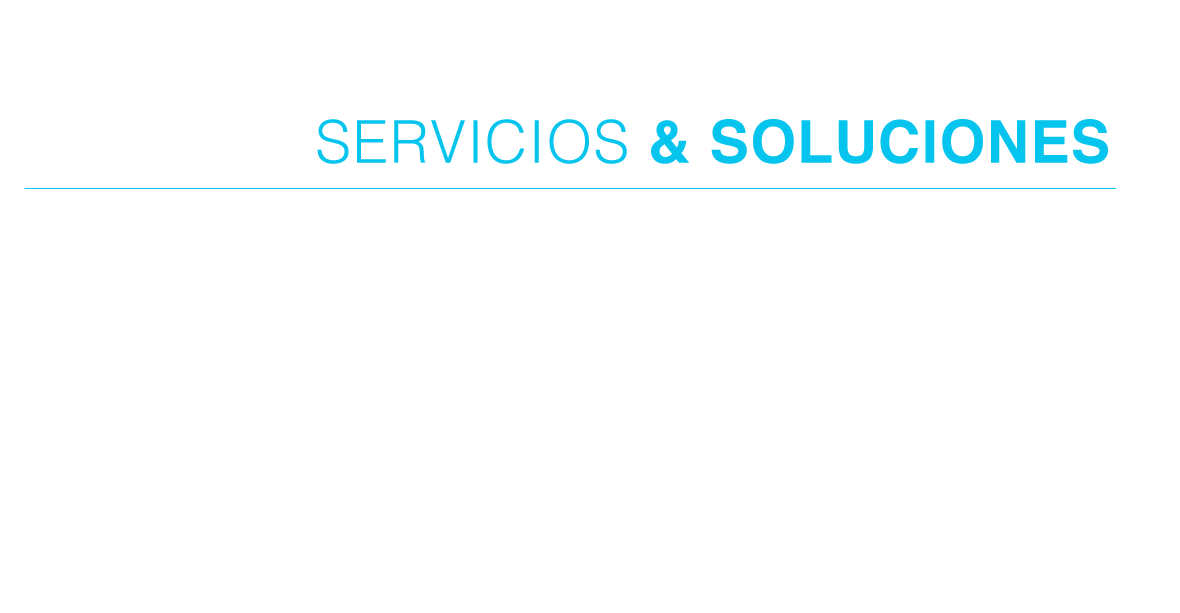 Texto-servicios-2